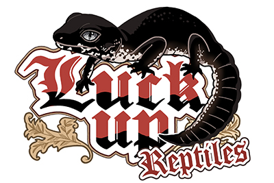 LUCK UP Reptiles