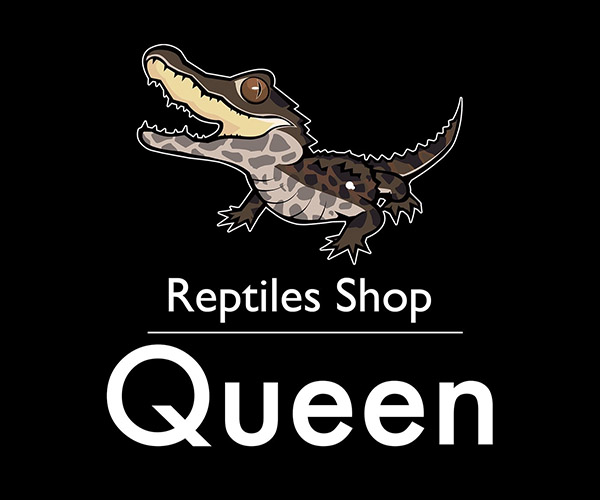 ReptilesShopQueen